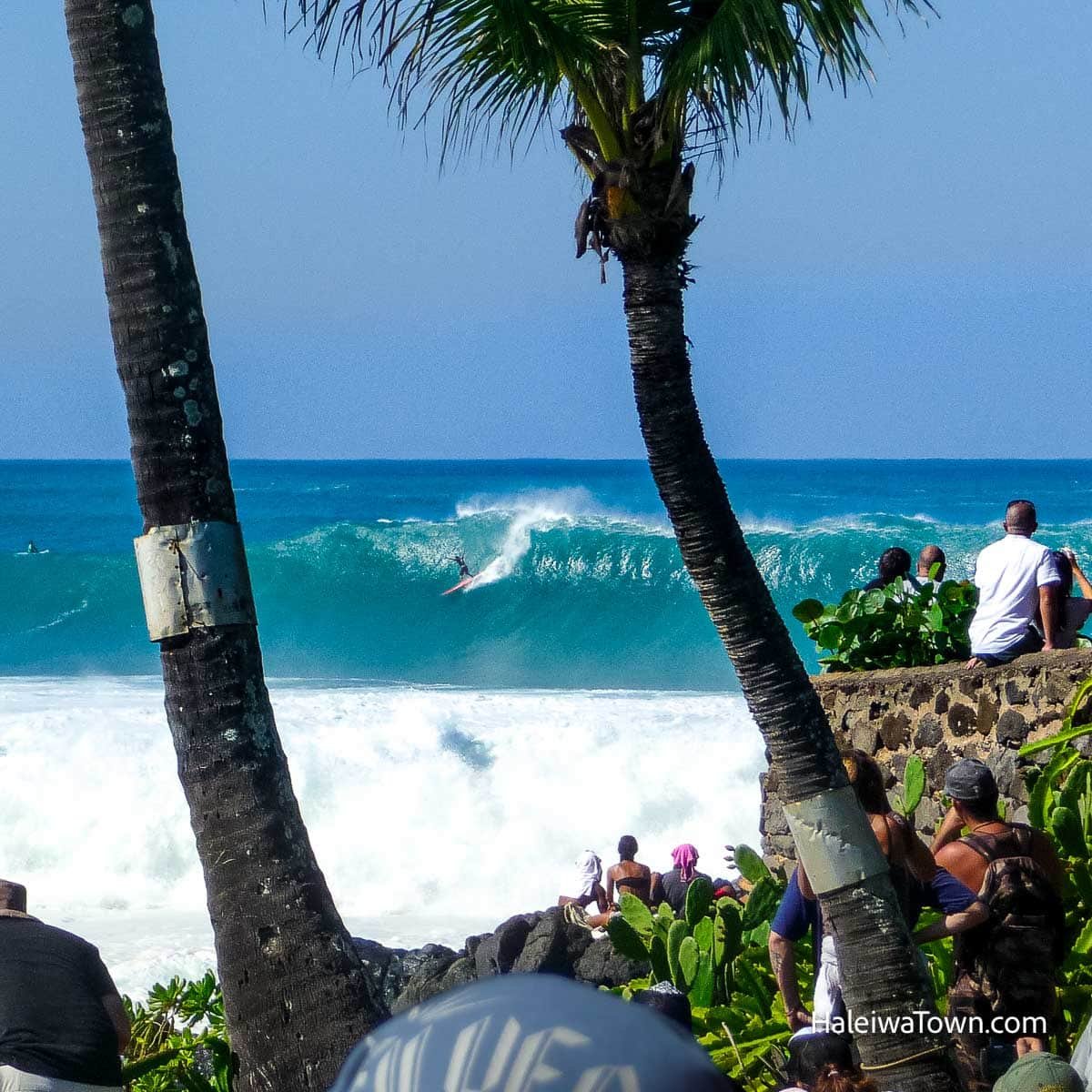 🏖️ 오하마 해수욕장(오하마카이간) 이미지 11